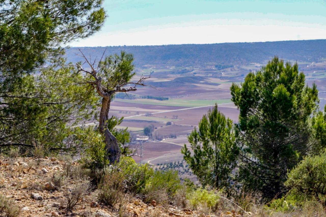De Felipe Casa Rural Horche Bagian luar foto