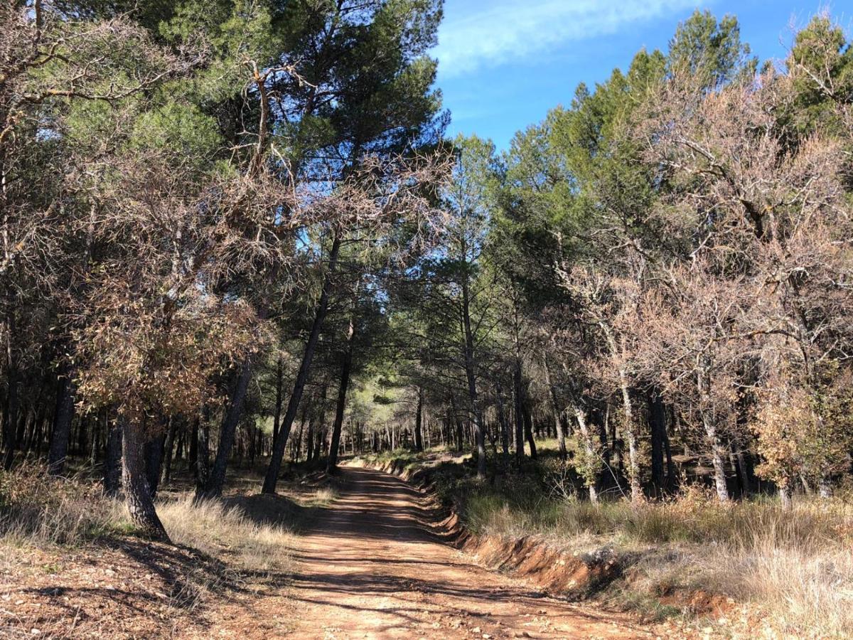 De Felipe Casa Rural Horche Bagian luar foto