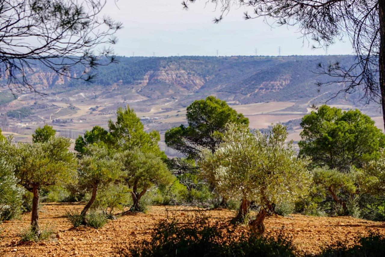 De Felipe Casa Rural Horche Bagian luar foto